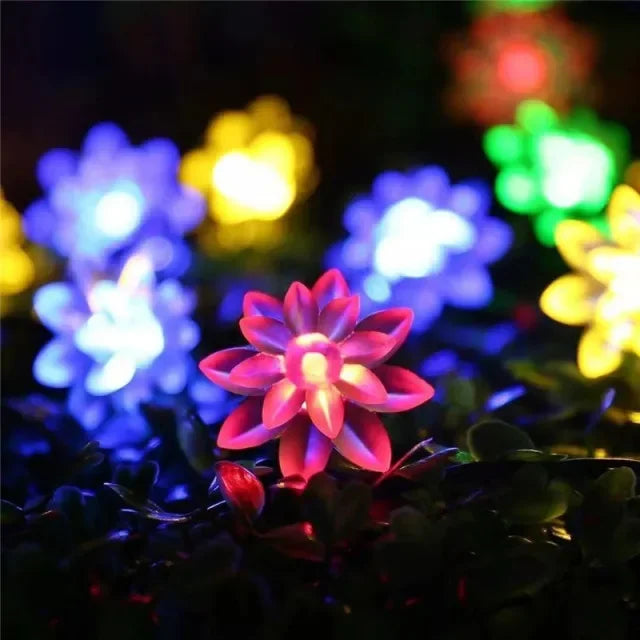 NULL Outdoor Solar-Powered Lithium Battery Dimmable Cool-Warm White LED Multicolor Plastic Crystal-Like Butterfly Shaped Design Light Ropes-Strings/ Bulbs Included