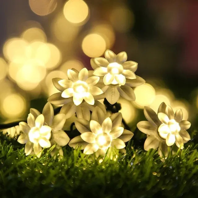 NULL Outdoor Solar-Powered Lithium Battery Dimmable Cool-Warm White LED Multicolor Plastic Crystal-Like Butterfly Shaped Design Light Ropes-Strings/ Bulbs Included