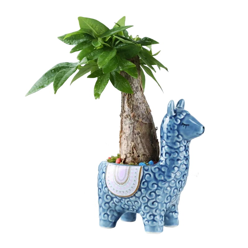 No-EN-Name-Null Home Garden Unglazed Ceramic Blue Cute Cartoon Alpaca-Owls Animal Mini Succulent Desktop Flower Pots Planters /Colors-Red/White/Blue/Gold/Animals