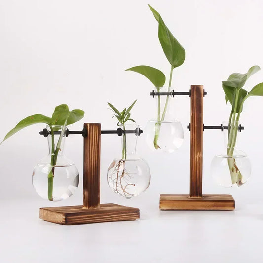 Modern 2 Glass Bottle Bamboo Hydroponic Plant Terrarium/Colors-Brown/Green
