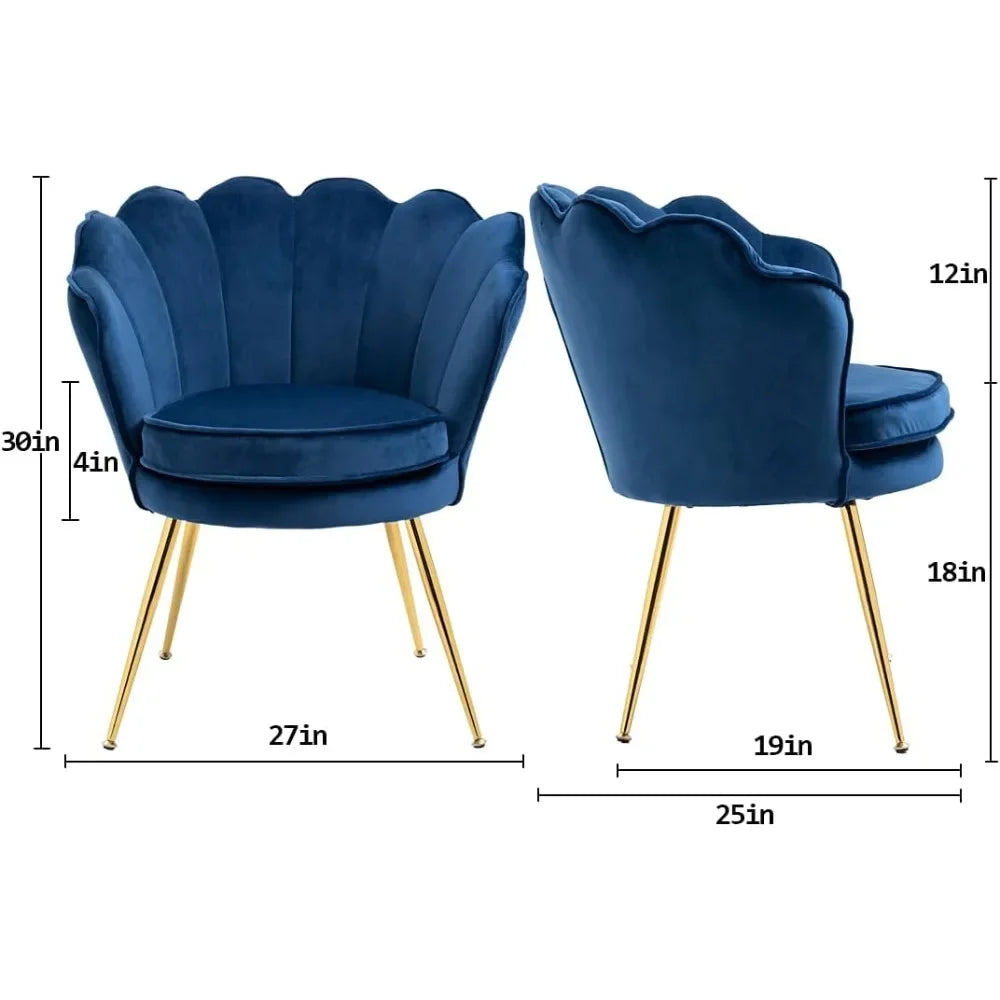 RUO WU Modern 2 PCS Beige-Blue Upholstered Padded Soft Skin-Friendly Velvet Fabric Shell-Shaped Cushions Four Gold Metal Legs Armchair Sets