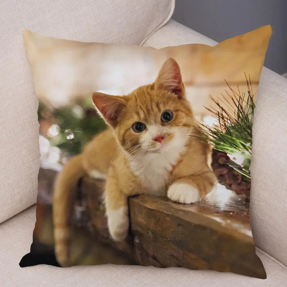 No-EN-Name-Null Printed Square Soft Polyester Multicolor Hilarious Cute Cat Animals Pillowcases /4 Sizes: 16  x 16 Inches/18 x 18 Inches/20 x 20 Inches/24 x 24 Inches/Colors-Animals/Multicolor