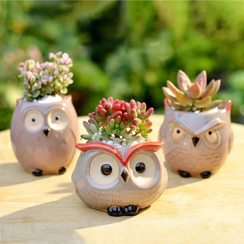 No-EN-Name-Null Nordic Home Garden Glazed Porcelain Ceramic Small Cute Cartoon Owl Shaped Design Round Mouth Animal Flower Pots/Colors-Black/Animals