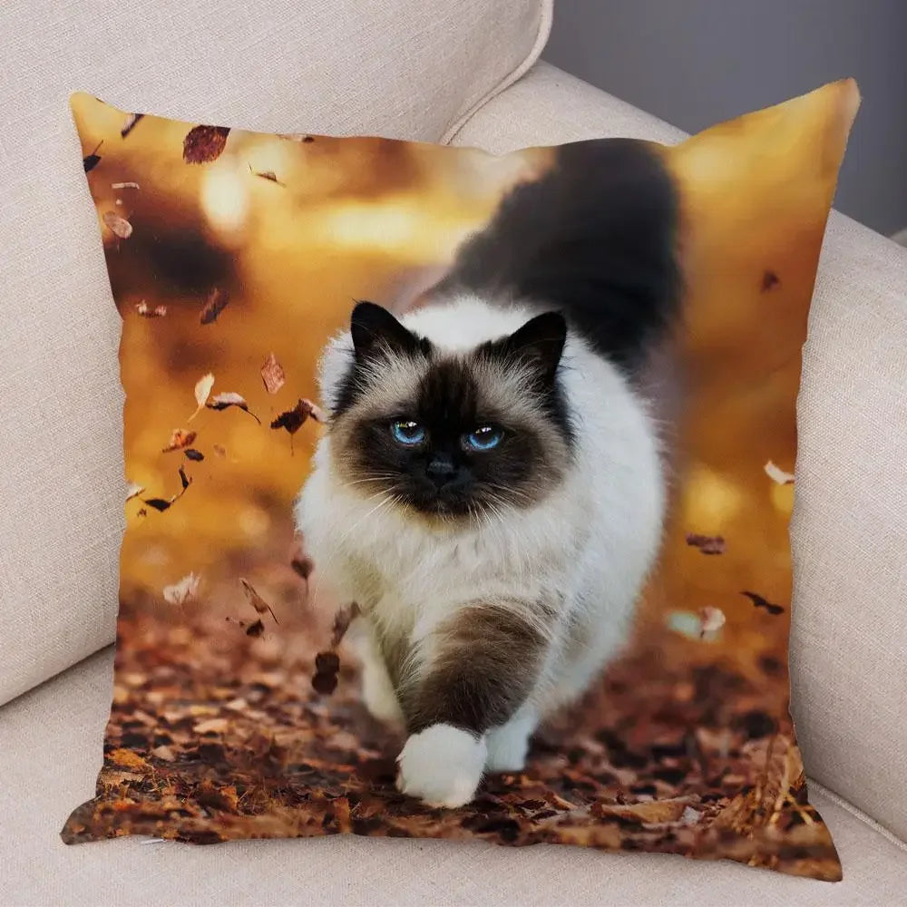No-EN-Name-Null Printed Square Soft Polyester Multicolor Hilarious Cute Cat Animals Pillowcases /4 Sizes: 16  x 16 Inches/18 x 18 Inches/20 x 20 Inches/24 x 24 Inches/Colors-Animals/Multicolor
