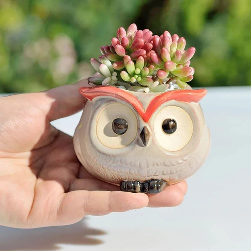 No-EN-Name-Null Nordic Home Garden Glazed Porcelain Ceramic Small Cute Cartoon Owl Shaped Design Round Mouth Animal Flower Pots/Colors-Black/Animals