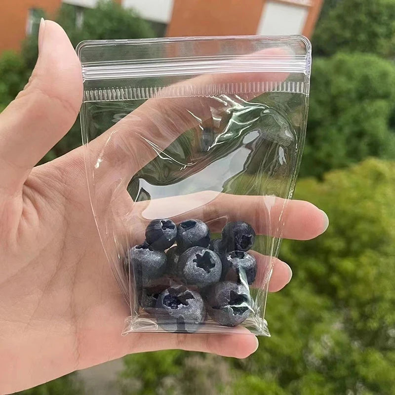 No-EN-Name-Null Kids Mini Handheld Soft TPR Plastic Clear Transparent Bag-Realistic Black-Blueberries Squeeze Stress-Anxiety Relieving Activity Toys/Ages: 6-12 + Years Old