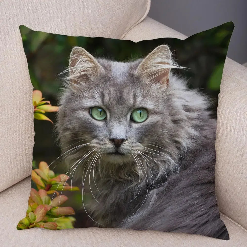 No-EN-Name-Null Printed Square Soft Polyester Multicolor Hilarious Cute Cat Animals Pillowcases /4 Sizes: 16  x 16 Inches/18 x 18 Inches/20 x 20 Inches/24 x 24 Inches/Colors-Animals/Multicolor