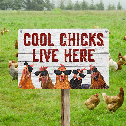 No-EN-Name-Null Vintage Saying-Cool Chicks Live Here Animal Iron Tin Metal Rectangle Novelty Signs/Size: 20x30cm/Colors-White/Bronze/Animals