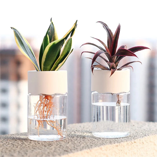 Plastic Transparent Imitation Glass Mini Hydroponic Flower Vases/Colors-White/Clear
