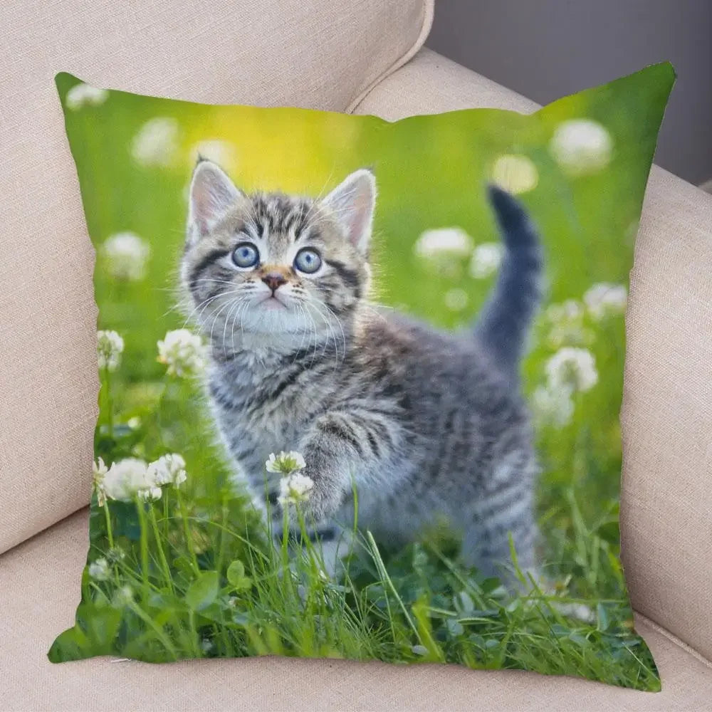 No-EN-Name-Null Printed Square Soft Polyester Multicolor Hilarious Cute Cat Animals Pillowcases /4 Sizes: 16  x 16 Inches/18 x 18 Inches/20 x 20 Inches/24 x 24 Inches/Colors-Animals/Multicolor