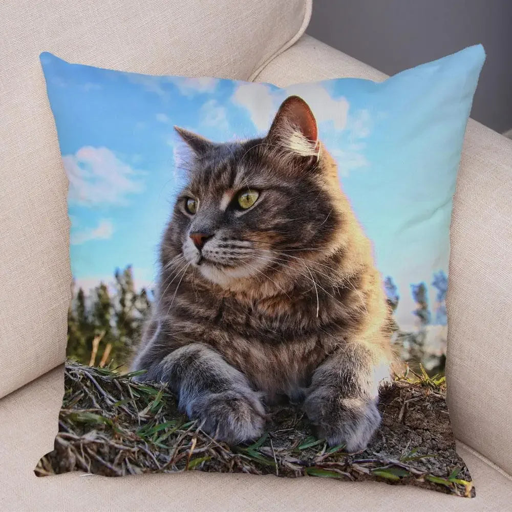 No-EN-Name-Null Printed Square Soft Polyester Multicolor Hilarious Cute Cat Animals Pillowcases /4 Sizes: 16  x 16 Inches/18 x 18 Inches/20 x 20 Inches/24 x 24 Inches/Colors-Animals/Multicolor