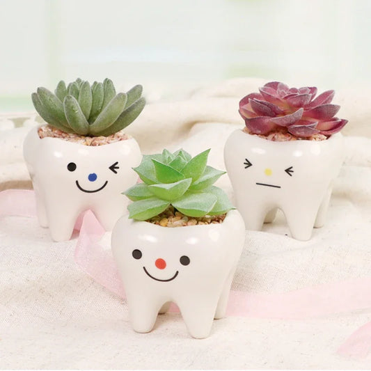 No-EN-Name-Null Home Garden Glazed Porcelain Ceramic Mini Cute White Tooth Shaped Smiling-Frowning Faces Desktop Flowerpots Planters /Colors-White/Black/Pink/Red/Multicolor