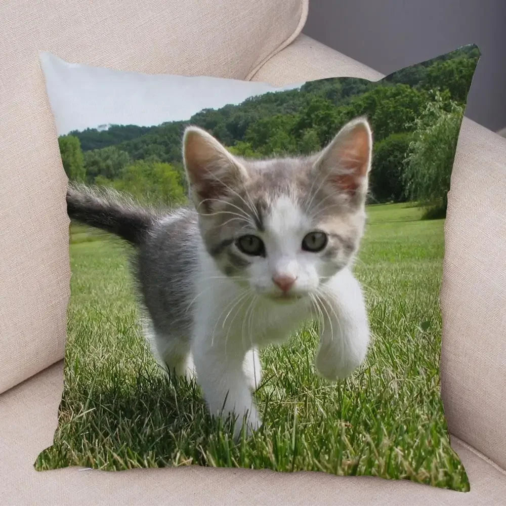 No-EN-Name-Null Printed Square Soft Polyester Multicolor Hilarious Cute Cat Animals Pillowcases /4 Sizes: 16  x 16 Inches/18 x 18 Inches/20 x 20 Inches/24 x 24 Inches/Colors-Animals/Multicolor
