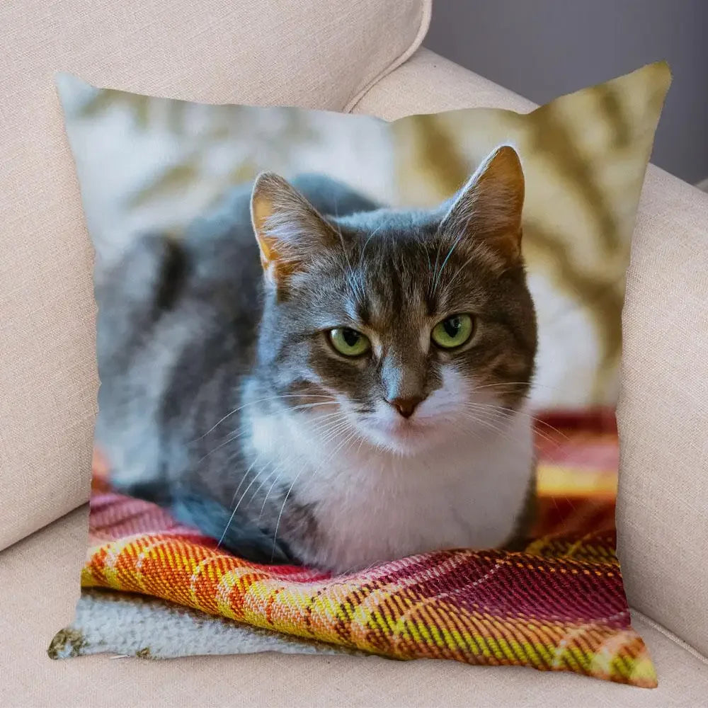 No-EN-Name-Null Printed Square Soft Polyester Multicolor Hilarious Cute Cat Animals Pillowcases /4 Sizes: 16  x 16 Inches/18 x 18 Inches/20 x 20 Inches/24 x 24 Inches/Colors-Animals/Multicolor
