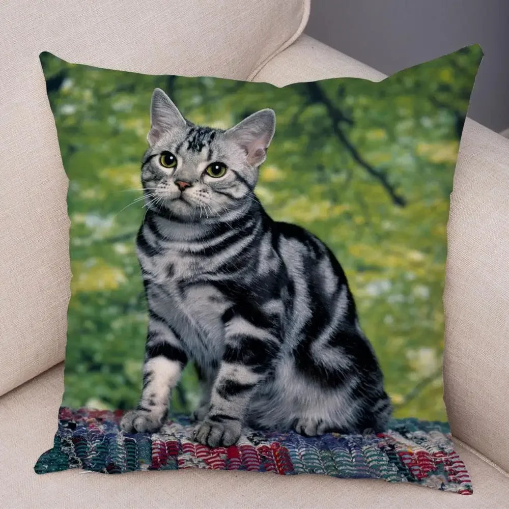 No-EN-Name-Null Printed Square Soft Polyester Multicolor Hilarious Cute Cat Animals Pillowcases /4 Sizes: 16  x 16 Inches/18 x 18 Inches/20 x 20 Inches/24 x 24 Inches/Colors-Animals/Multicolor
