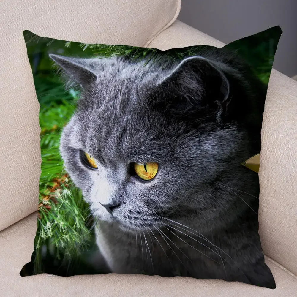 No-EN-Name-Null Printed Square Soft Polyester Multicolor Hilarious Cute Cat Animals Pillowcases /4 Sizes: 16  x 16 Inches/18 x 18 Inches/20 x 20 Inches/24 x 24 Inches/Colors-Animals/Multicolor