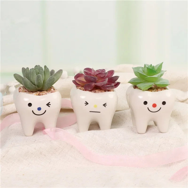 No-EN-Name-Null Home Garden Glazed Porcelain Ceramic Mini Cute White Tooth Shaped Smiling-Frowning Faces Desktop Flowerpots Planters /Colors-White/Black/Pink/Red/Multicolor