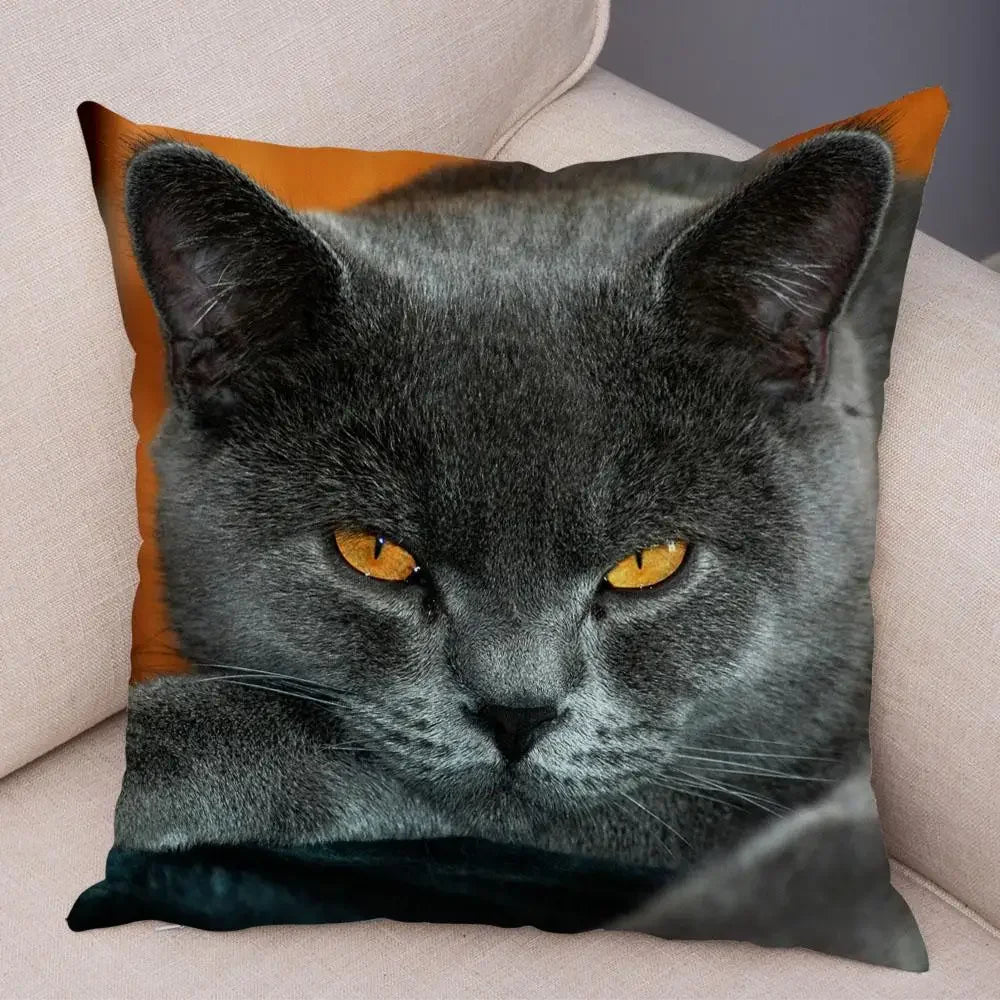 No-EN-Name-Null Printed Square Soft Polyester Multicolor Hilarious Cute Cat Animals Pillowcases /4 Sizes: 16  x 16 Inches/18 x 18 Inches/20 x 20 Inches/24 x 24 Inches/Colors-Animals/Multicolor