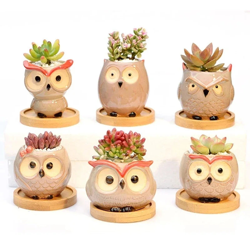 No-EN-Name-Null Nordic Home Garden Glazed Porcelain Ceramic Small Cute Cartoon Owl Shaped Design Round Mouth Animal Flower Pots/Colors-Black/Animals
