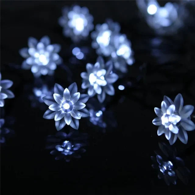 NULL Outdoor Solar-Powered Lithium Battery Dimmable Cool-Warm White LED Multicolor Plastic Crystal-Like Butterfly Shaped Design Light Ropes-Strings/ Bulbs Included