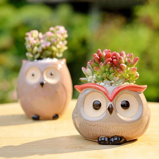 No-EN-Name-Null Nordic Home Garden Glazed Porcelain Ceramic Small Cute Cartoon Owl Shaped Design Round Mouth Animal Flower Pots/Colors-Black/Animals