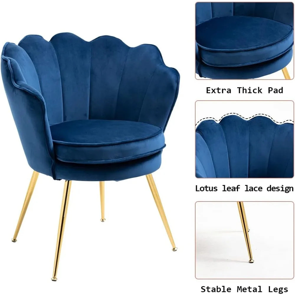 RUO WU Modern 2 PCS Beige-Blue Upholstered Padded Soft Skin-Friendly Velvet Fabric Shell-Shaped Cushions Four Gold Metal Legs Armchair Sets