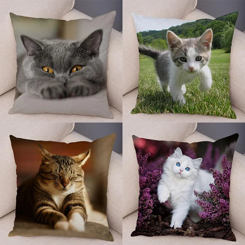 No-EN-Name-Null Printed Square Soft Polyester Multicolor Hilarious Cute Cat Animals Pillowcases /4 Sizes: 16  x 16 Inches/18 x 18 Inches/20 x 20 Inches/24 x 24 Inches/Colors-Animals/Multicolor