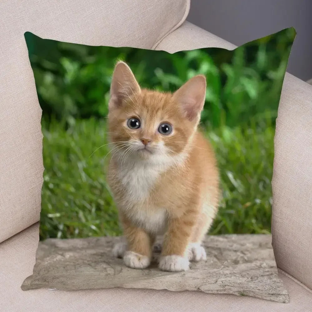 No-EN-Name-Null Printed Square Soft Polyester Multicolor Hilarious Cute Cat Animals Pillowcases /4 Sizes: 16  x 16 Inches/18 x 18 Inches/20 x 20 Inches/24 x 24 Inches/Colors-Animals/Multicolor