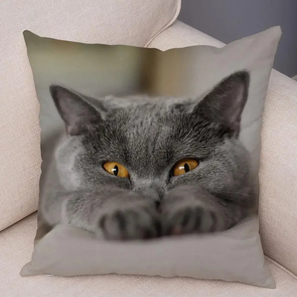 No-EN-Name-Null Printed Square Soft Polyester Multicolor Hilarious Cute Cat Animals Pillowcases /4 Sizes: 16  x 16 Inches/18 x 18 Inches/20 x 20 Inches/24 x 24 Inches/Colors-Animals/Multicolor