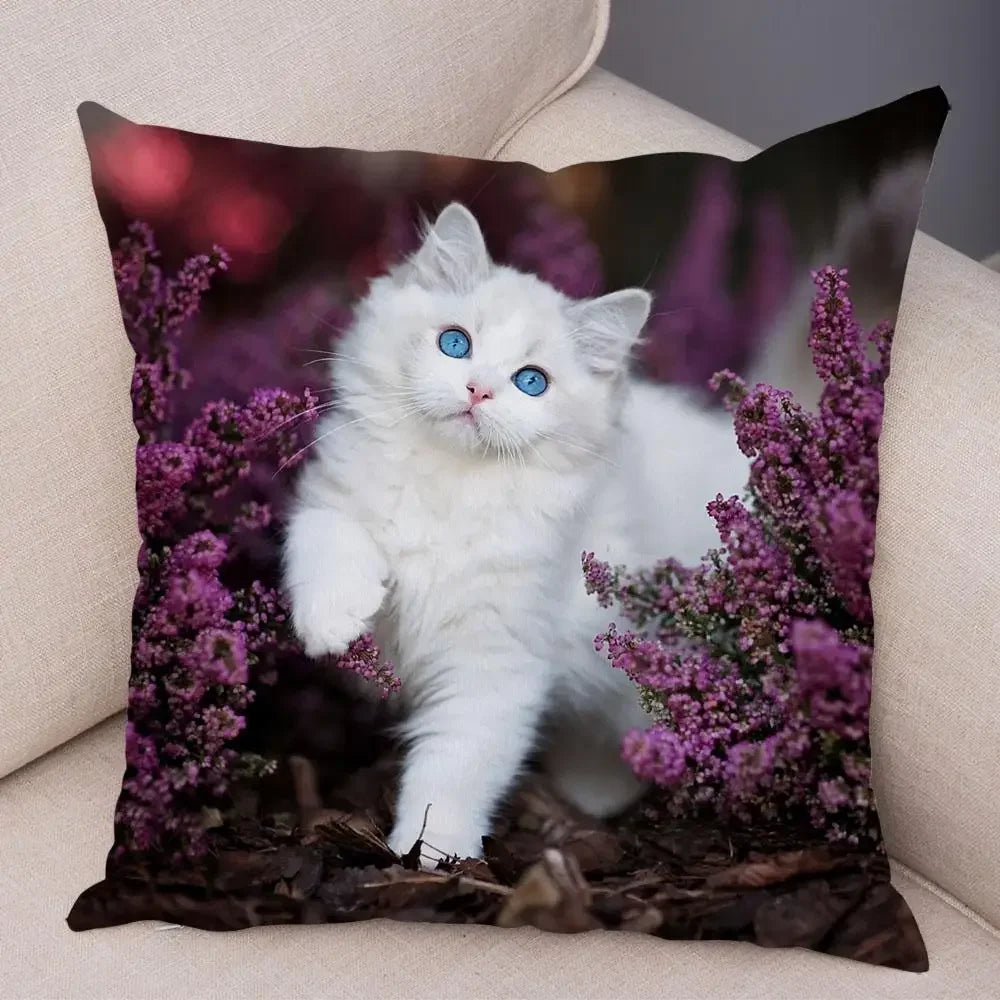 No-EN-Name-Null Printed Square Soft Polyester Multicolor Hilarious Cute Cat Animals Pillowcases /4 Sizes: 16  x 16 Inches/18 x 18 Inches/20 x 20 Inches/24 x 24 Inches/Colors-Animals/Multicolor