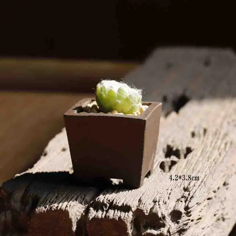 Yixing Purple Sand Flower Pot Mini Succulent Thumb Flower Pot Creative Home Chinese Small Bonsai Pot Decorative Flower Pot LE337