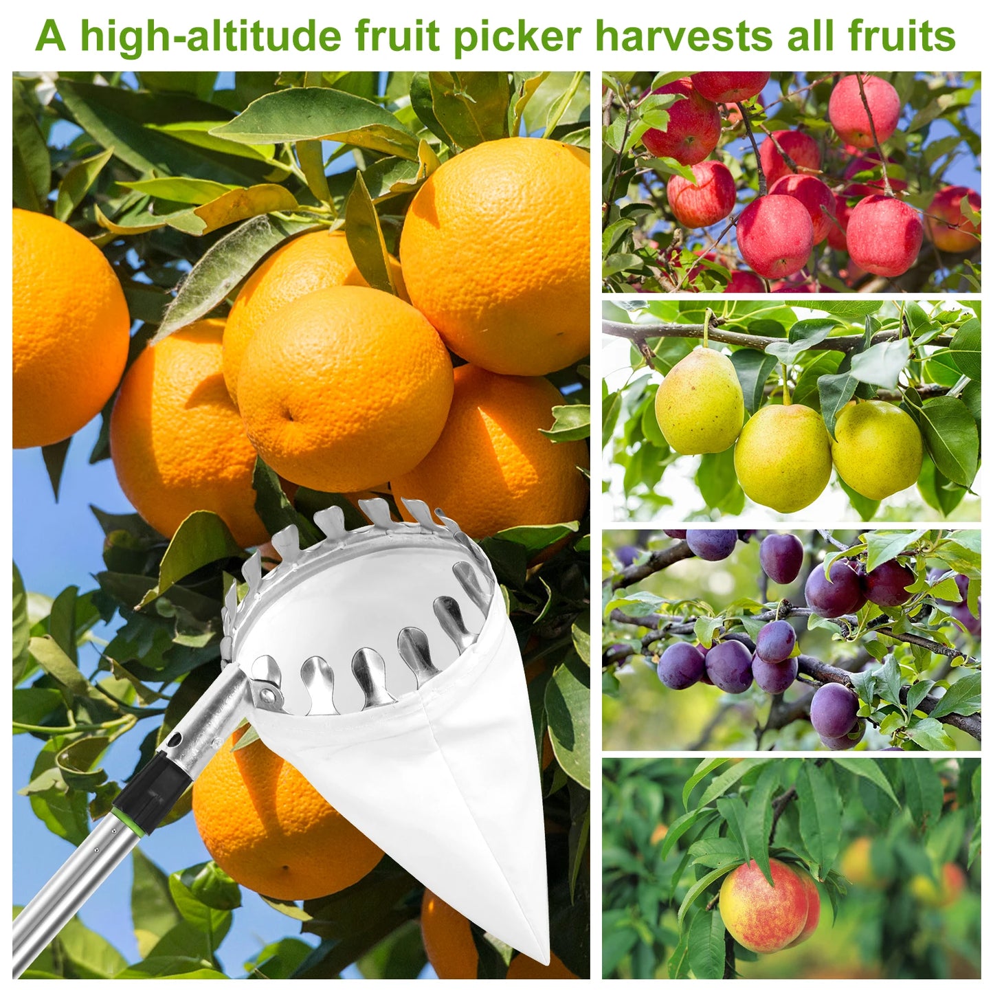 TOORISE Green-Silver Stainless Steel-Aluminum Lightweight One Fruit Picking Pole Head Basket Gardening Tools/1-Picking Basket/1-Splicing Rod/1-Storage Bag