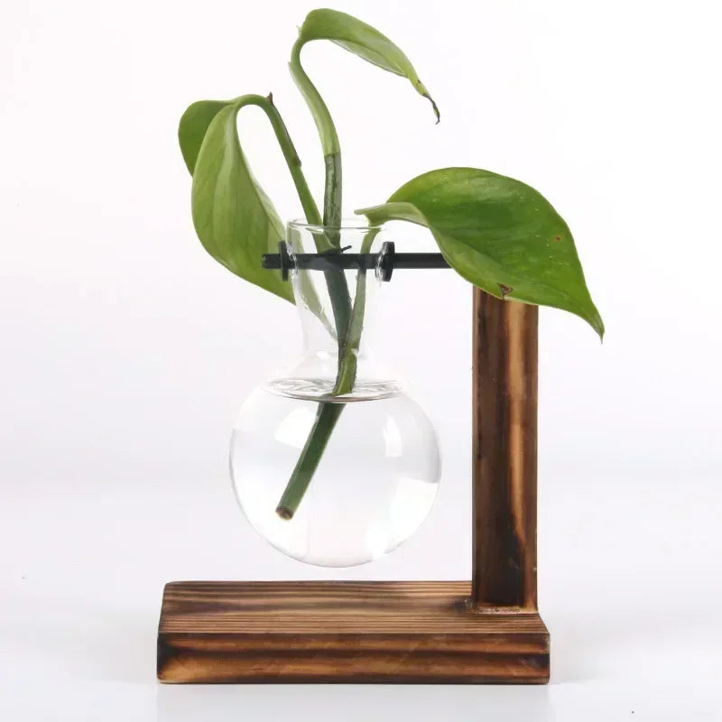 Modern 2 Glass Bottle Bamboo Hydroponic Plant Terrarium/Colors-Brown/Green