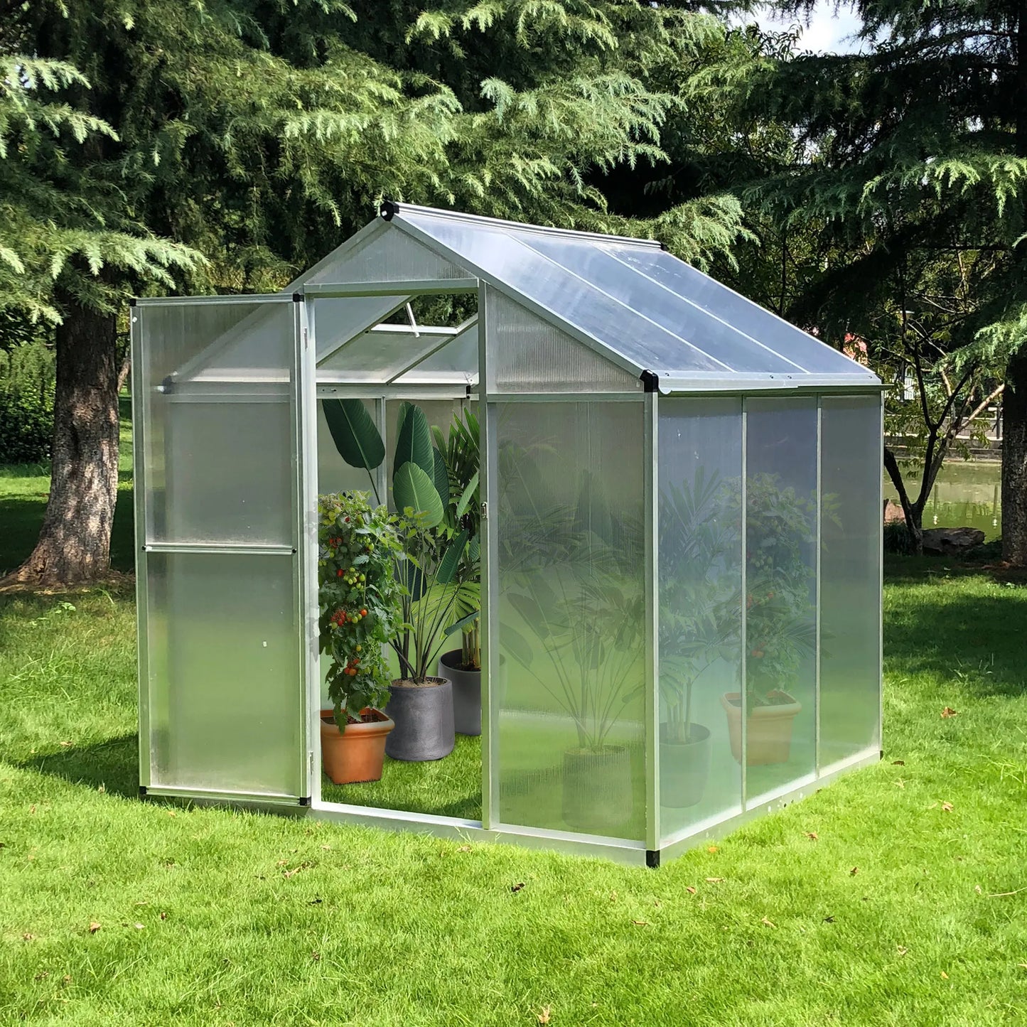 OUTSUNNY Outdoor Waterproof Heavy-Duty Walk-In-Cold Silver Aluminum Metal Frame Clear Transparent Polycarbonate Plastic Sheets Garden Greenhouses/ Dimensions 6' L X 6' W