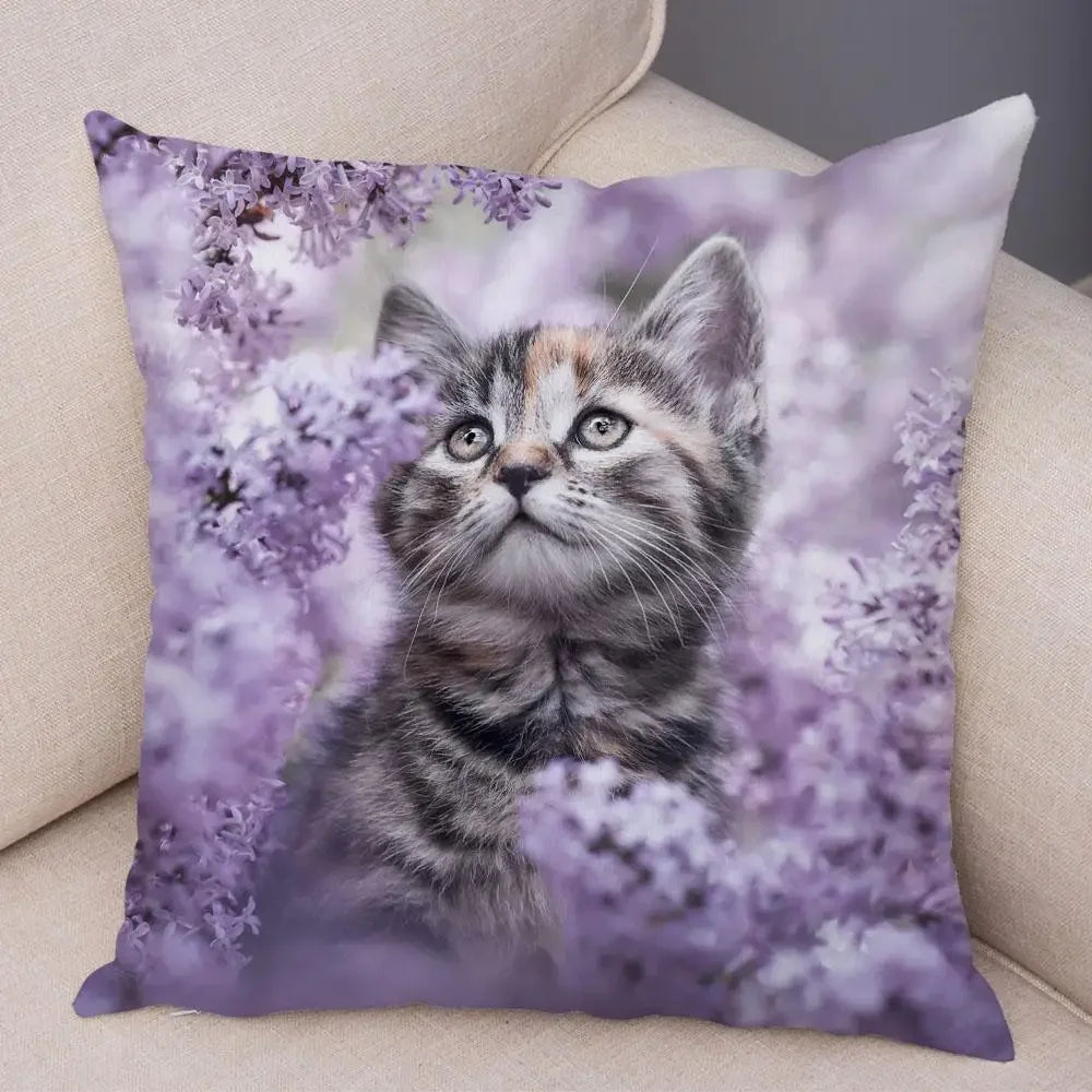 No-EN-Name-Null Printed Square Soft Polyester Multicolor Hilarious Cute Cat Animals Pillowcases /4 Sizes: 16  x 16 Inches/18 x 18 Inches/20 x 20 Inches/24 x 24 Inches/Colors-Animals/Multicolor