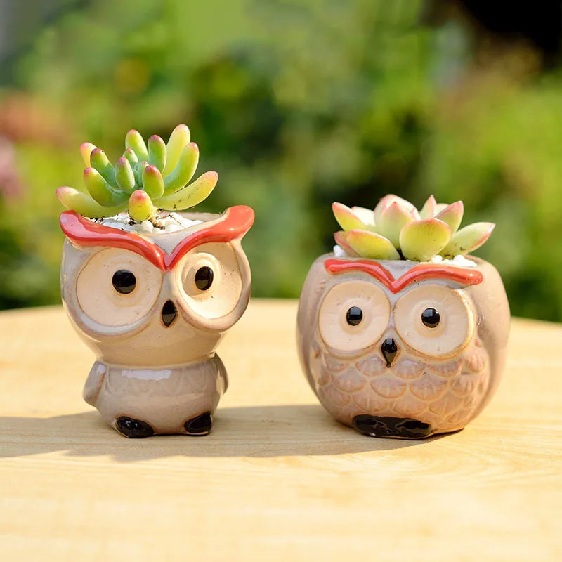 No-EN-Name-Null Nordic Home Creative Succulent Mini Ceramic Cute Owl Shaped Design Tabletop Flower Pots Planters /Colors-Animals/Black/Brown/White