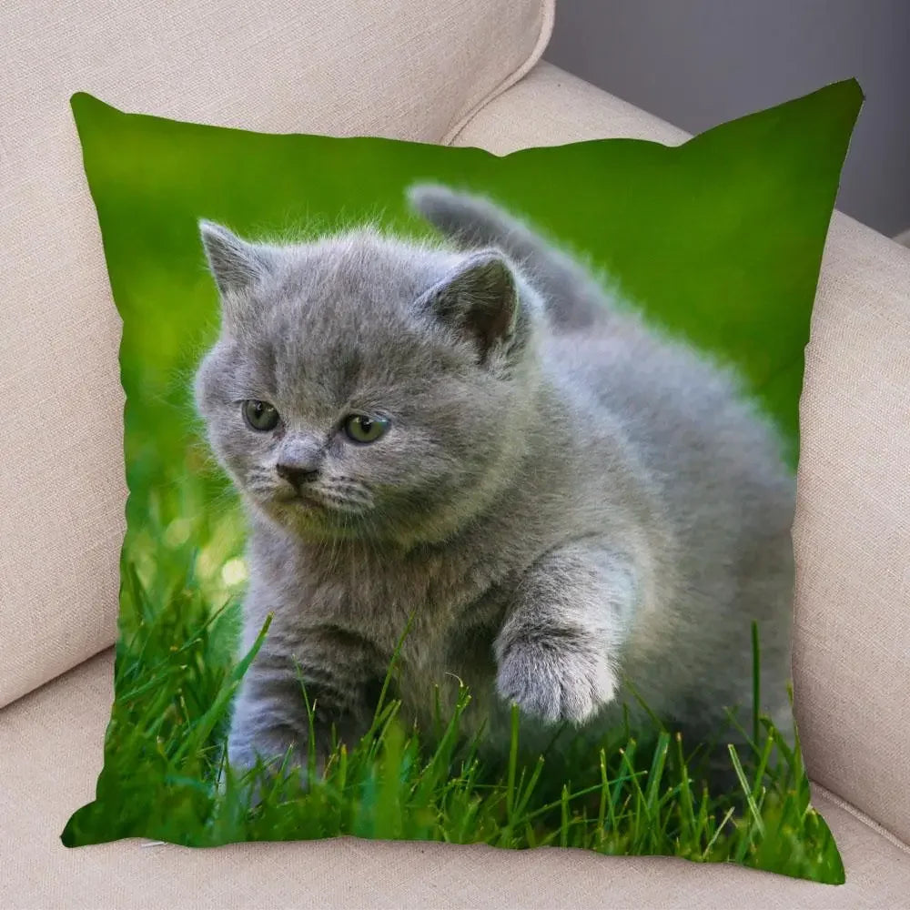 No-EN-Name-Null Printed Square Soft Polyester Multicolor Hilarious Cute Cat Animals Pillowcases /4 Sizes: 16  x 16 Inches/18 x 18 Inches/20 x 20 Inches/24 x 24 Inches/Colors-Animals/Multicolor