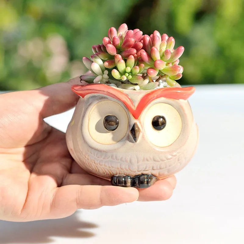 No-EN-Name-Null Nordic Home Creative Succulent Mini Ceramic Cute Owl Shaped Design Tabletop Flower Pots Planters /Colors-Animals/Black/Brown/White