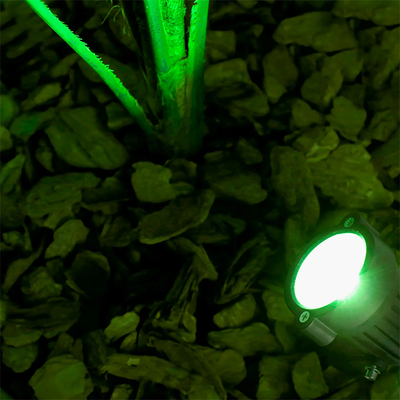 RY Brand Outdoor Garden 10 PCS Dimmable AC-Powered Cool-Warm White-Green Lights Display Black Round COB LED Underground Plastic Stake Lights Sets/Colors-Black/Green/White/Multicolor/Bulbs Included